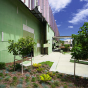 A view of some landscaping by Dig It apartment, architecture, building, condominium, daytime, estate, facade, grass, home, house, neighbourhood, real estate, residential area, sky, tree, brown