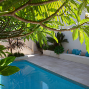 View of this Secluded pool surround by lush arecales, backyard, estate, home, house, leaf, leisure, majorelle blue, palm tree, plant, property, real estate, resort, swimming pool, tree, tropics, brown, gray