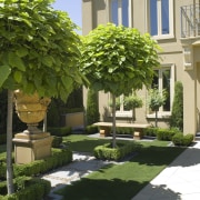 A view of this  Mediteranean style house backyard, courtyard, flowerpot, garden, grass, houseplant, landscaping, plant, shrub, tree, yard, brown