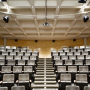 A view of some vuilding materials supplied by auditorium, ceiling, conference hall, function hall, performing arts center, brown, gray