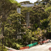 A view of the concrete piers and bridges plant, property, real estate, tree, brown