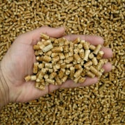 A view of a freplace from Nature's Flame. commodity, grass family, mixture, brown, orange