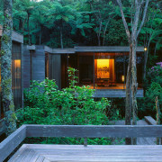 A view of this house designed by Ron cottage, home, house, lighting, plant, real estate, tree, teal, black