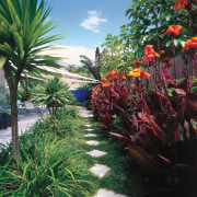 An exterior view of the patio and garden arecales, botanical garden, flora, flower, garden, grass, landscaping, palm tree, plant, shrub, tree, tropics, vegetation, green, black