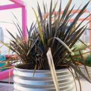 An exterior view of the patio area which flowerpot, plant, white