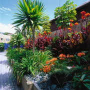 An exterior view of the patio and garden arecales, botanical garden, flora, flower, garden, landscape, landscaping, palm tree, plant, shrub, tree, tropics, vegetation, black, green