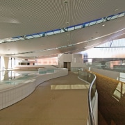 An interior view of the ian thorpe aquatic airport terminal, architecture, fixed link, infrastructure, leisure centre, metropolitan area, overpass, skyway, sport venue, structure, gray, brown