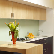 A view of the kitchen, Stone Benchtop, Stainless cabinetry, countertop, interior design, kitchen, room, under cabinet lighting, orange