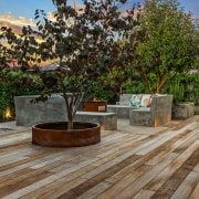 In spring the retained Cercis tree blossoms softly, 