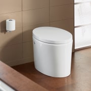 View of batheoom wear from Kohler - View angle, bathroom accessory, bathroom sink, ceramic, furniture, plumbing fixture, product, product design, tap, toilet, toilet seat, brown