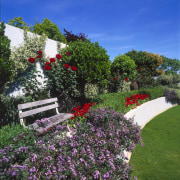 An exterior view of the garden area, seat, annual plant, botanical garden, flora, flower, flowering plant, garden, grass, landscape, landscaping, leaf, nature, plant, shrub, sky, spring, tree, vegetation, green