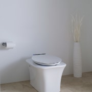 view of the Kohler tankless, one-piece Fountainhead toilet. bathroom sink, bidet, ceramic, plumbing fixture, product design, tap, toilet, toilet seat, gray