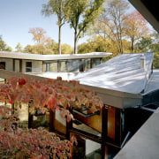 Butterfly roofs, which cover more than 6000sq ft, architecture, home, house, leaf, outdoor structure, plant, real estate, roof, tree, brown