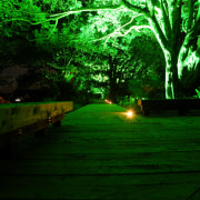 Walking tracks encircle the grounds of Kensington Park, darkness, evening, grass, green, landscape, landscape lighting, leaf, light, lighting, nature, night, plant, sunlight, tree, water, green