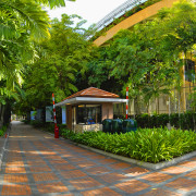 Exterior view of the Edcouch-Elsa Fine Arts Centre arecales, estate, home, palm tree, plant, property, real estate, resort, tree, brown