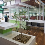 Images of the Bendigo Bank. The images feature interior design, gray, brown