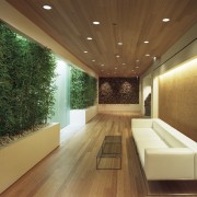 Views looking through the interior of the office. architecture, ceiling, daylighting, floor, interior design, lighting, lobby, wood, brown