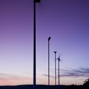 View of the wind turbines which generate electricity. atmosphere, dawn, dusk, energy, evening, horizon, light fixture, lighting, sky, street light, wind, wind turbine, purple