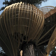 Image of the Yellow Treehouse restaurant which has building, sky, tree, wood, black