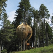 Image of the Yellow Treehouse restaurant which has biome, outdoor structure, plant, tree