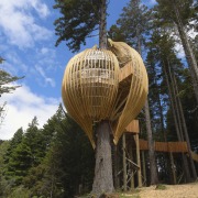 Image of the Yellow Treehouse restaurant which has outdoor structure, plant, tree, tree house, black, brown