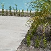 Image of coloured concrete from Peter Fell Ltd arecales, grass, palm tree, plant, tree, walkway, water, gray