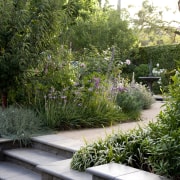 View of the slate steps leading into outdoor backyard, botanical garden, flower, garden, grass, grass family, landscape, landscaping, plant, shrub, tree, vegetation, walkway, yard, green