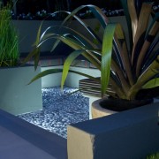 View of main outdoor living area which is arecales, flora, grass, leaf, majorelle blue, palm tree, plant, water, blue