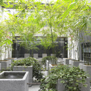 View of the atrium of the redeveloped Kakariki architecture, courtyard, garden, house, plant, real estate, tree