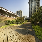 View of the roof terrace at NZ Central architecture, building, city, condominium, daytime, grass, landmark, line, metropolitan area, outdoor structure, real estate, residential area, roof, sky, skyscraper, sunlight, tree, urban area, walkway, wood, brown