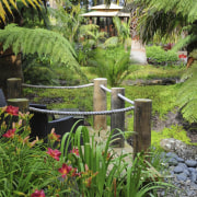 View of a landscaped garden designed by Adam backyard, botanical garden, flora, flower, garden, grass, grass family, landscape, landscaping, leaf, plant, pond, shrub, tree, vegetation, water, water feature, yard, green