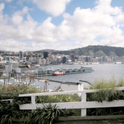 Exterior view of the Wellington Overseas Passenger Terminal city, dock, harbor, marina, port, river, sky, tree, water, waterway, white