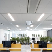 internal office view of 21 Queen St development. architecture, ceiling, conference hall, daylighting, interior design, lighting, office, product design, gray