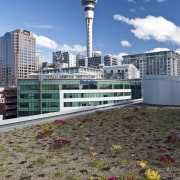 Greenroofs Ltd of Ponsonby developed the green roof architecture, building, city, condominium, daytime, metropolitan area, sky, skyline, tower, urban area
