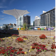 Greenroofs Ltd of Ponsonby developed the green roof architecture, city, condominium, daytime, flower, metropolitan area, plant, real estate, roof, sky, urban area, blue