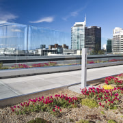 Greenroofs Ltd of Ponsonby developed the green roof architecture, city, cityscape, condominium, daytime, downtown, metropolis, metropolitan area, real estate, sky, tower block, urban area