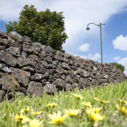 View of Mt Wellington stone walls. - View field, flower, grass, landscape, plant, rock, sky, tree, vegetation, wildflower