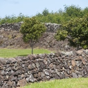 View of Mt Wellington stone walls. - View bedrock, geology, grass, land lot, landscape, outcrop, rock, rubble, soil, stone wall, tree, vegetation, wall, gray