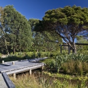 Exterior view of landscaped area surrounding the Ferndale garden, grass, landscape, nature, plant, real estate, sky, tree, vegetation, water, wetland, brown