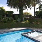 Exterior view of an outdoor area which features arecales, estate, leisure, palm tree, plant, reflection, resort, sky, swimming pool, tree, vacation, water, teal