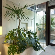 View of a renovated master suite with bathroom, arecales, home, houseplant, interior design, palm tree, plant, window, gray