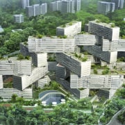 Interlace Conceptual - Interlace Conceptual - bird's eye bird's eye view, green