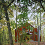 Exterior view of this contemporary remodeled home - autumn, branch, cottage, deciduous, forest, home, house, leaf, log cabin, nature, outdoor structure, path, plant, rural area, tree, wood, woodland, woody plant, brown, green