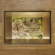 view of cedar wall with window in this picture frame, wood, brown, orange