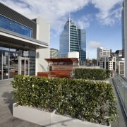 View of outdoor area with Inscape plants. - apartment, architecture, building, city, condominium, corporate headquarters, daytime, downtown, metropolitan area, mixed use, real estate, reflection, residential area, roof, sky, skyline, skyscraper, tower block, urban area, urban design, gray