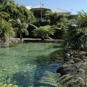 Contemporary home. Victorian. Fairlight Developments. Director Henry Ayala. arecales, biome, estate, palm tree, plant, pond, real estate, reflection, resort, sky, swimming pool, tree, tropics, vegetation, water, water resources, green