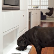 Here is a view of a kitchen designed black, dog, dog like mammal, floor, flooring, furniture, home, interior design, living room, room, table, wood, gray