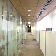Here is a view of the kauri canopy architecture, ceiling, daylighting, floor, flooring, glass, interior design, wall, brown