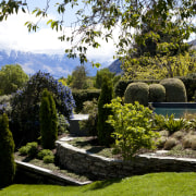 View of landscaping. - View of landscaping. - botanical garden, estate, garden, grass, landscape, landscaping, lawn, leaf, nature, plant, shrub, tree, vegetation, brown