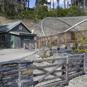 View of stone wall with wooden fence, and cottage, home, house, landscape, outdoor structure, real estate, tree, walkway, gray